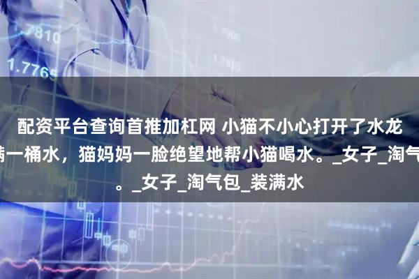 配资平台查询首推加杠网 小猫不小心打开了水龙头接了满满一桶水，猫妈妈一脸绝望地帮小猫喝水。_女子_淘气包_装满水