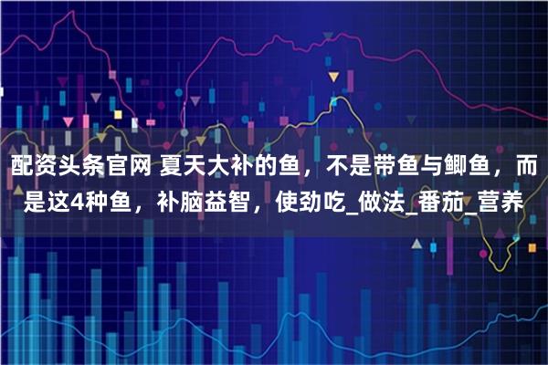配资头条官网 夏天大补的鱼，不是带鱼与鲫鱼，而是这4种鱼，补脑益智，使劲吃_做法_番茄_营养