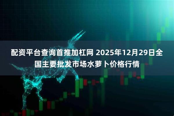 配资平台查询首推加杠网 2025年12月29日全国主要批发市场水萝卜价格行情